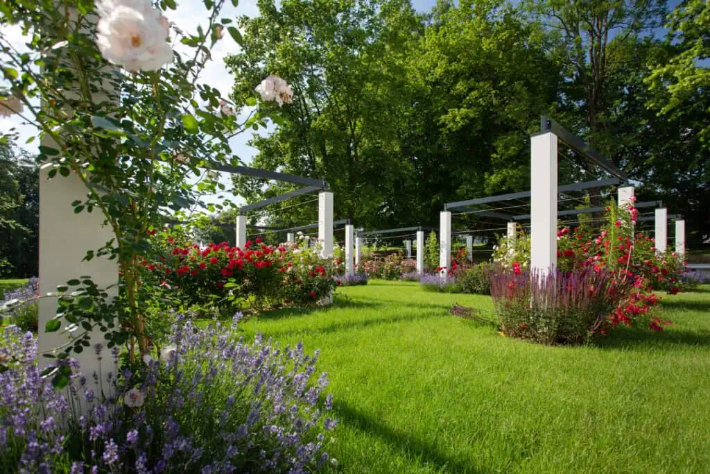 B&O Parkhotel Tagungsraum Rosengarten