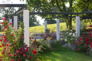 B&O Parkhotel Rosengarten