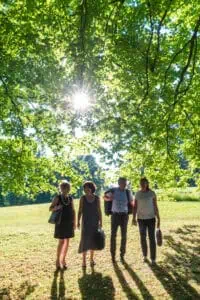 Workation-im-B&O-Parkhotel 30 Tagen im Gruenen