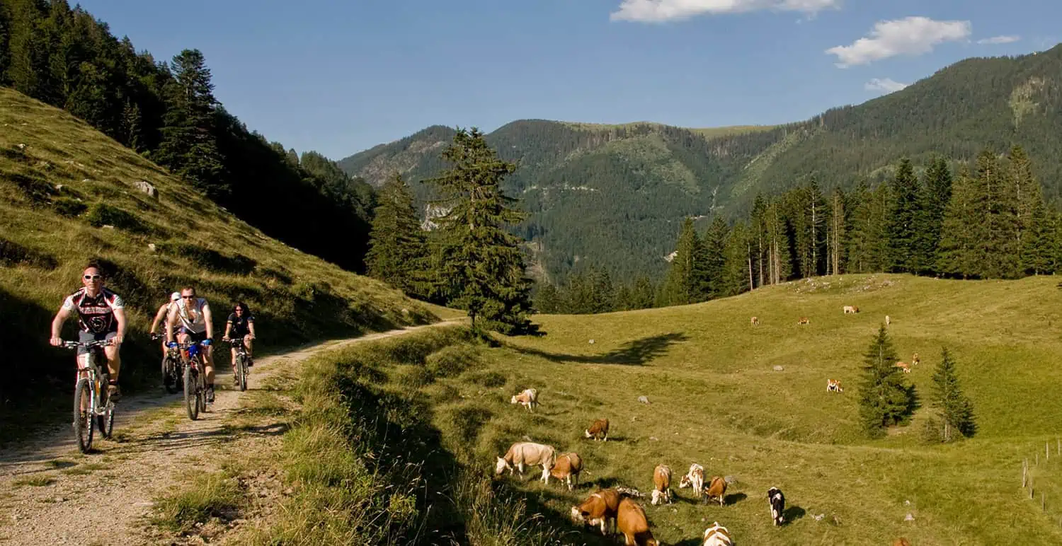 Rahmenprogramm-für-Tagungen-Radeln-B&O-Parkhotel