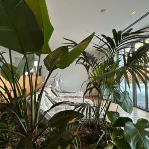 Wellness Bereich
