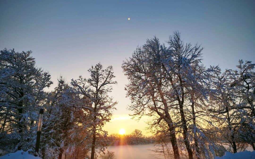 Winterbild_ Sonne