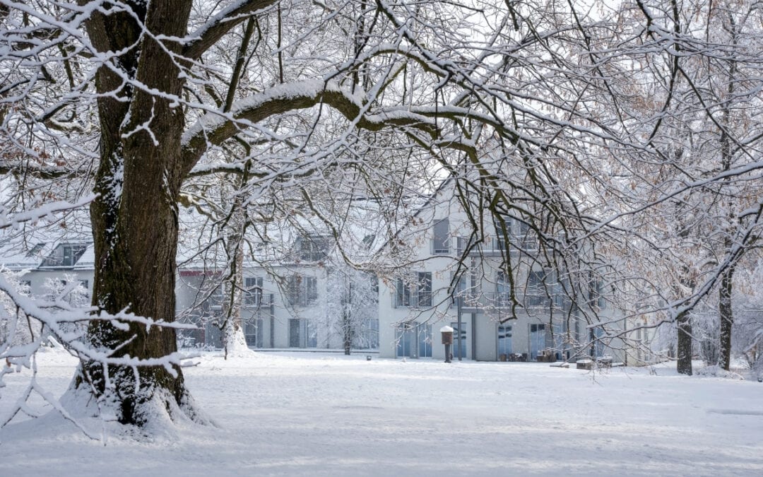 Winter-Special