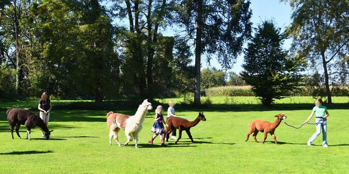 Rahmenprogramm-fuer-Tagungen-ALPAKA-BOParkhotel